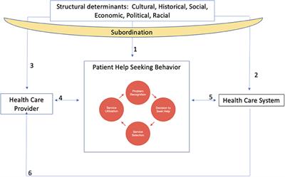 Structural and health system determinants of health outcomes in systemic lupus erythematosus: Understanding the mechanisms underlying health disparities